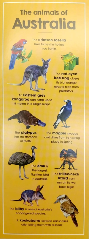 animals of the world - Ảnh 4