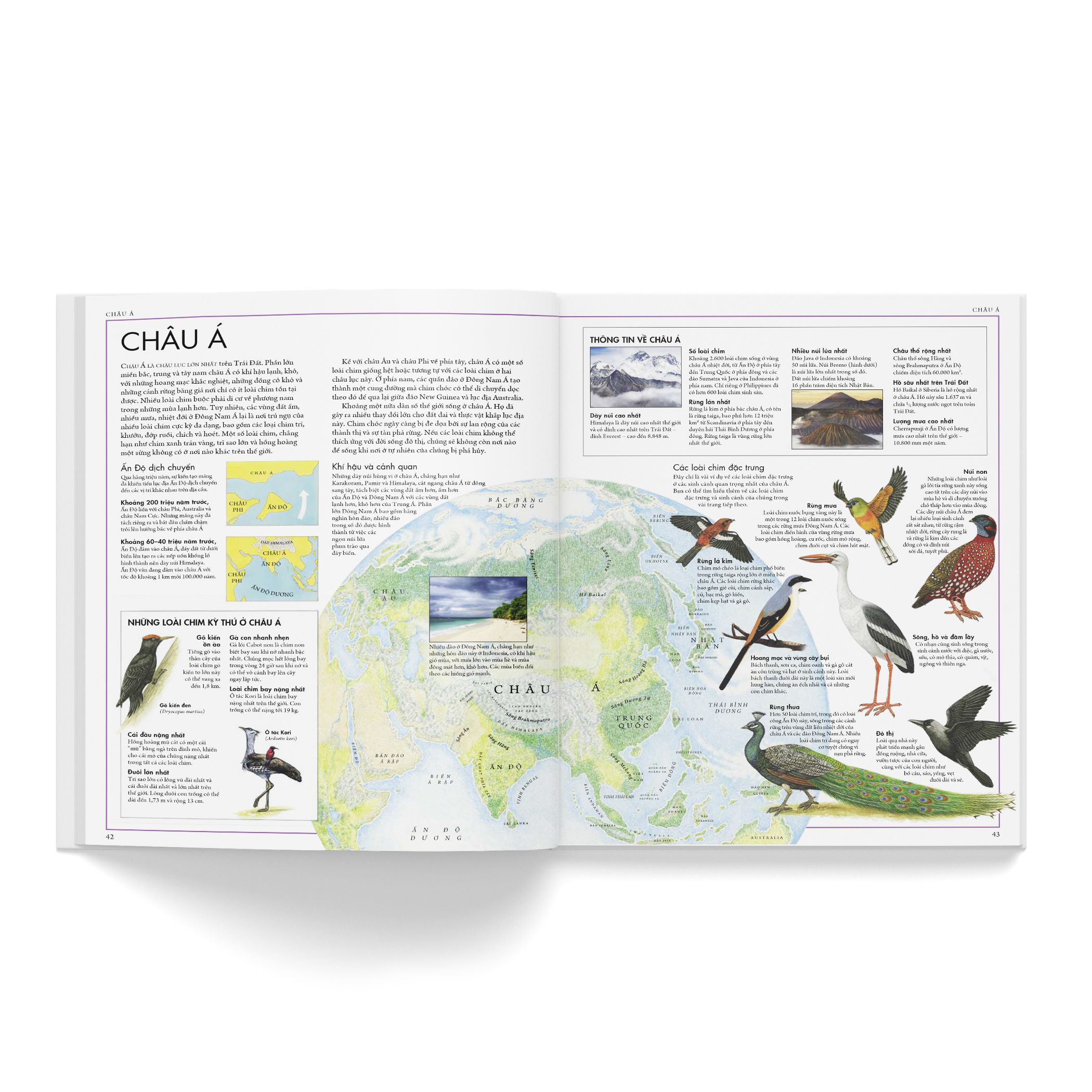 atlas các loài chim - bách khoa bằng hình về các loài chim trên thế giới - Ảnh 7