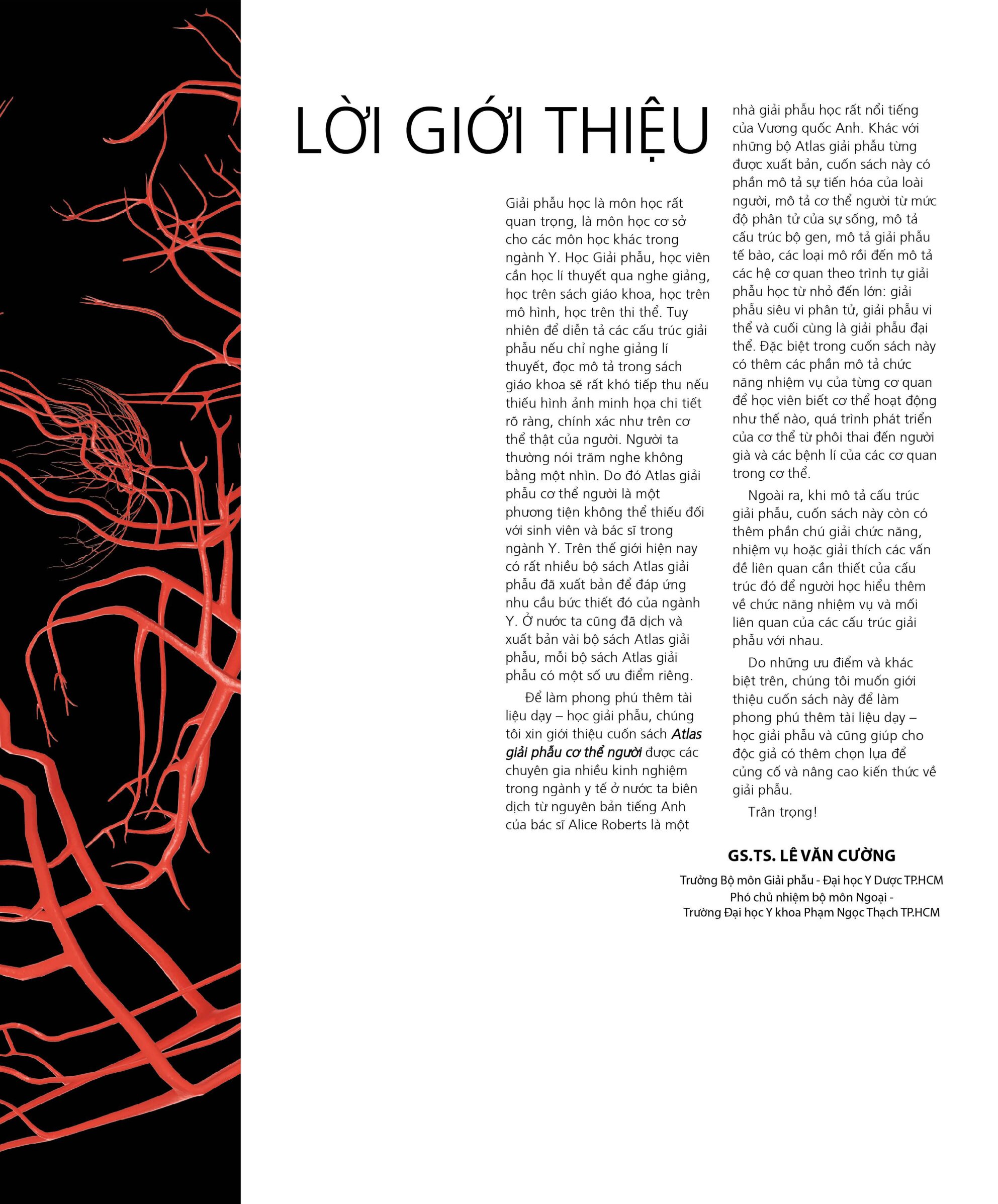 Atlas Giải Phẫu Cơ Thể Người - Hướng Dẫn Trực Quan Chính Xác - Bìa Cứng (Tái Bản 2026) - Ảnh 4