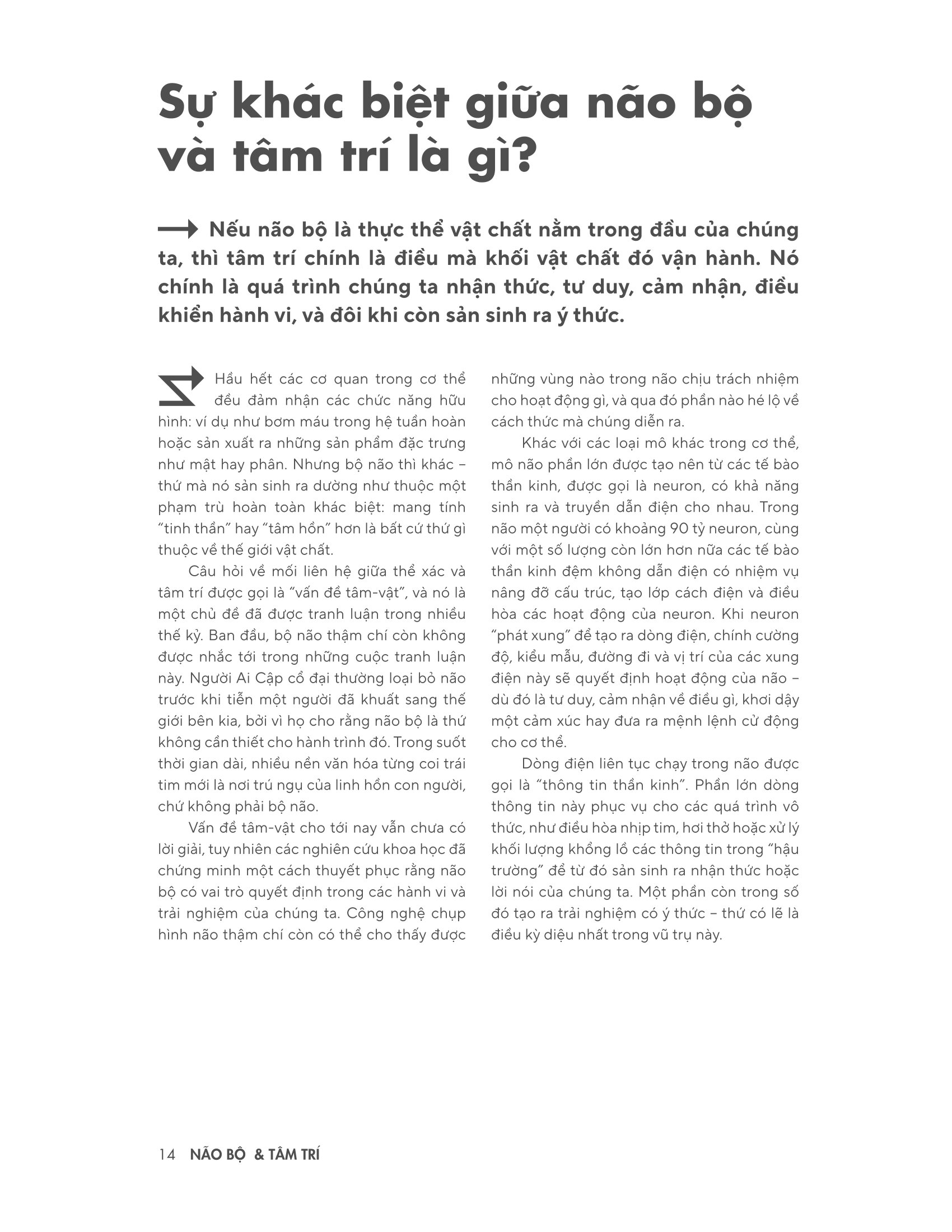 Bản Đồ Não Bộ - Từ Tế Bào Thần Kinh Đến Những Ý Tưởng Lớn - Ảnh 17