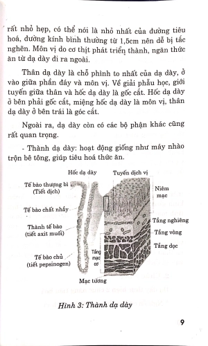bệnh dạ dày - chế độ ăn uống và luyện tập - Ảnh 7