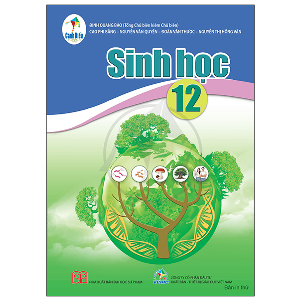 Bộ Bài Tập Ngữ Văn 12 - Tập 2 (Cánh Diều) (Chuẩn) - Ảnh 29