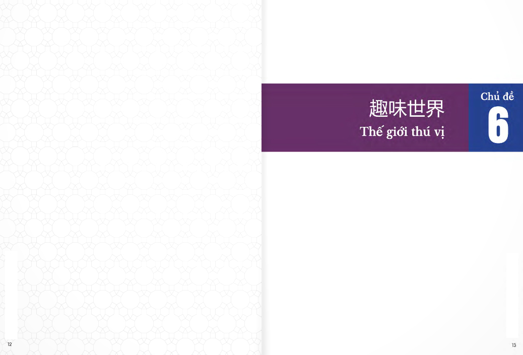 bộ giáo trình chuẩn hsk 6 - tập 2 - Ảnh 8