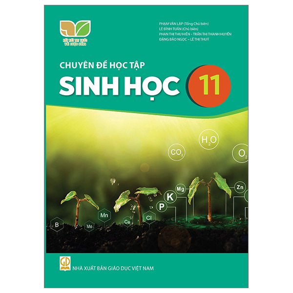 Bộ Mĩ Thuật 11 - Đồ Hoạ (Tranh In) (Kết Nối) (Chuẩn) - Ảnh 10