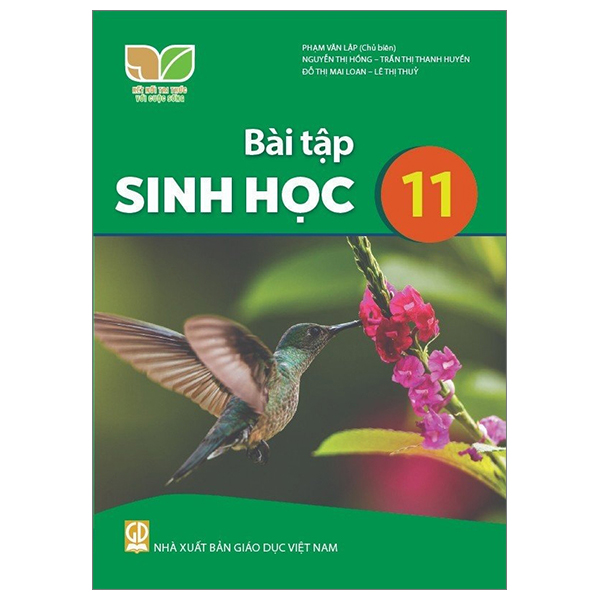 Bộ Mĩ Thuật 11 - Lí Luận Và Lịch Sử Mĩ Thuật (Kết Nối) (Chuẩn) - Ảnh 25