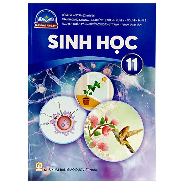 bộ sách giáo khoa lớp 11 - chân trời - chương trình chuẩn (bài học + bài tập) - Ảnh 16