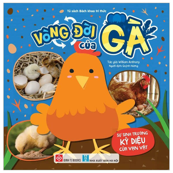 Bộ Sự Sinh Trưởng Kỳ Diệu Của Vạn Vật - Vòng Đời Của Cây - Ảnh 12