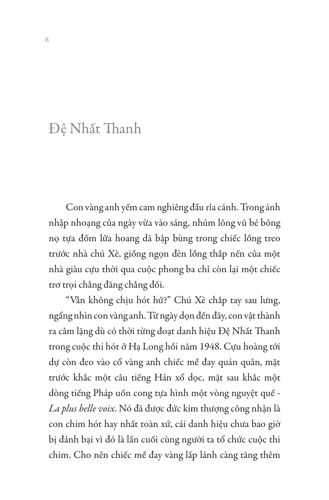 Bộ Văn Trẻ - Đề Ngạn Không Mưa - Ảnh 3