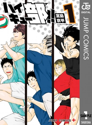 bộ ハイキュー部!! 1 - haikyu-bu!! 1 - Ảnh 2