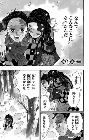 bộ 鬼滅の刃 1 - kimetsu no yaiba 1 - Ảnh 5