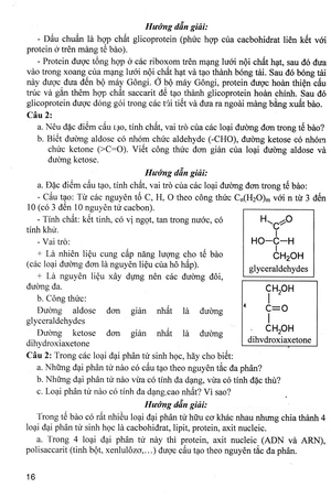 bồi dưỡng học sinh giỏi sinh học 10 - Ảnh 8