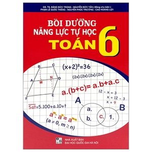 bồi dưỡng năng lực tự học toán 6
