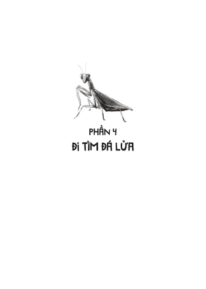 chiến binh tí hon trong thế giới côn trùng - tập 2 - Ảnh 3