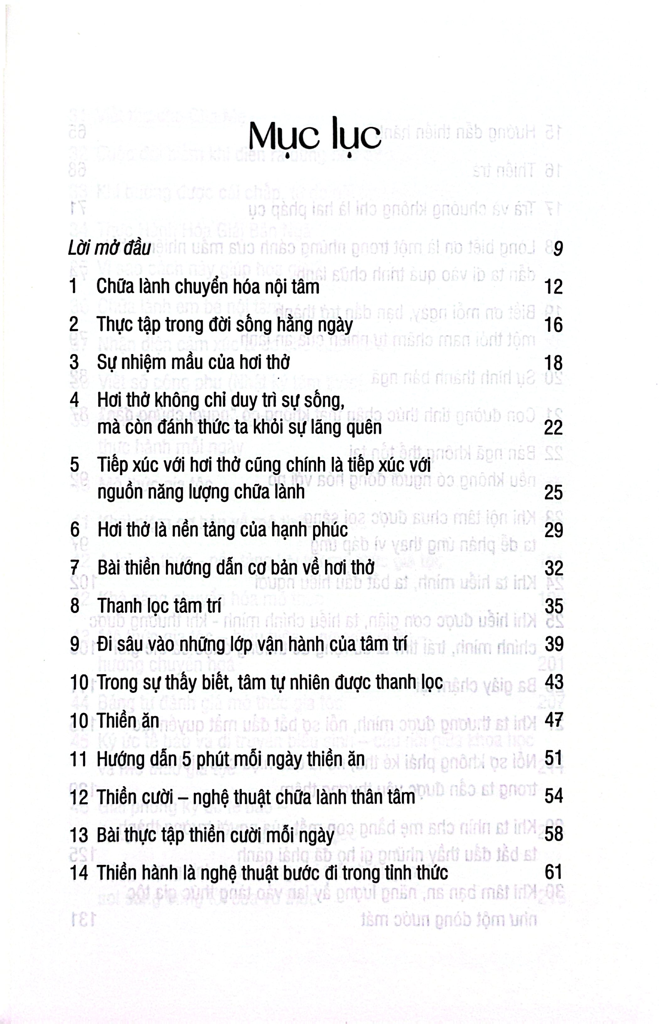 Chữa Lành Và Chuyển Hóa Nội Tâm - Ảnh 3