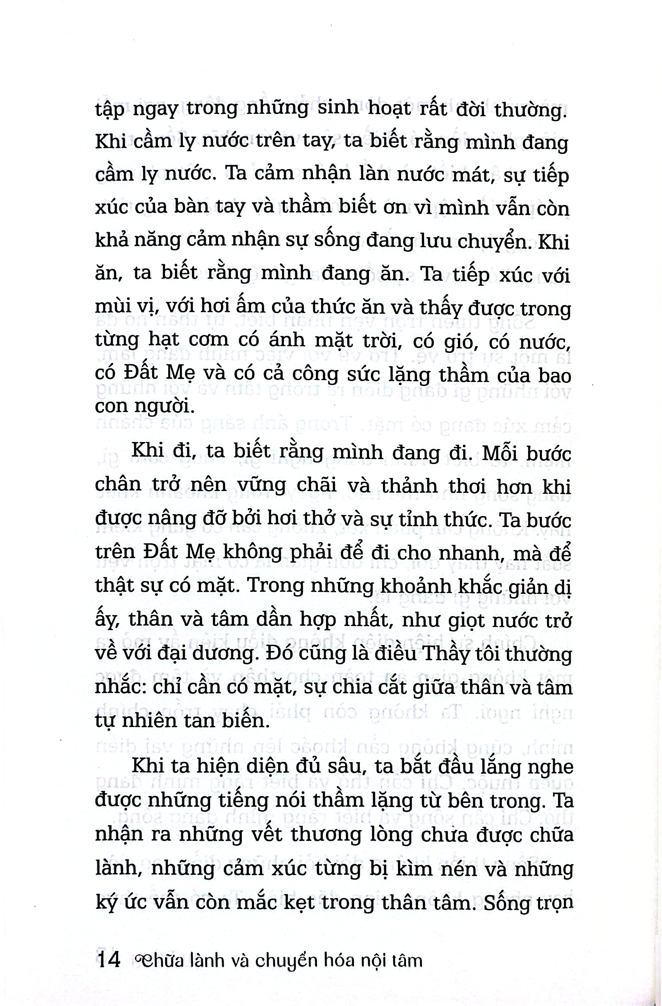 Chữa Lành Và Chuyển Hóa Nội Tâm - Ảnh 6