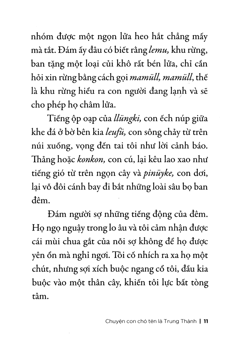 chuyện con chó tên là trung thành - Ảnh 5