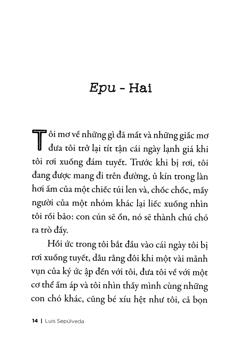 chuyện con chó tên là trung thành - Ảnh 8
