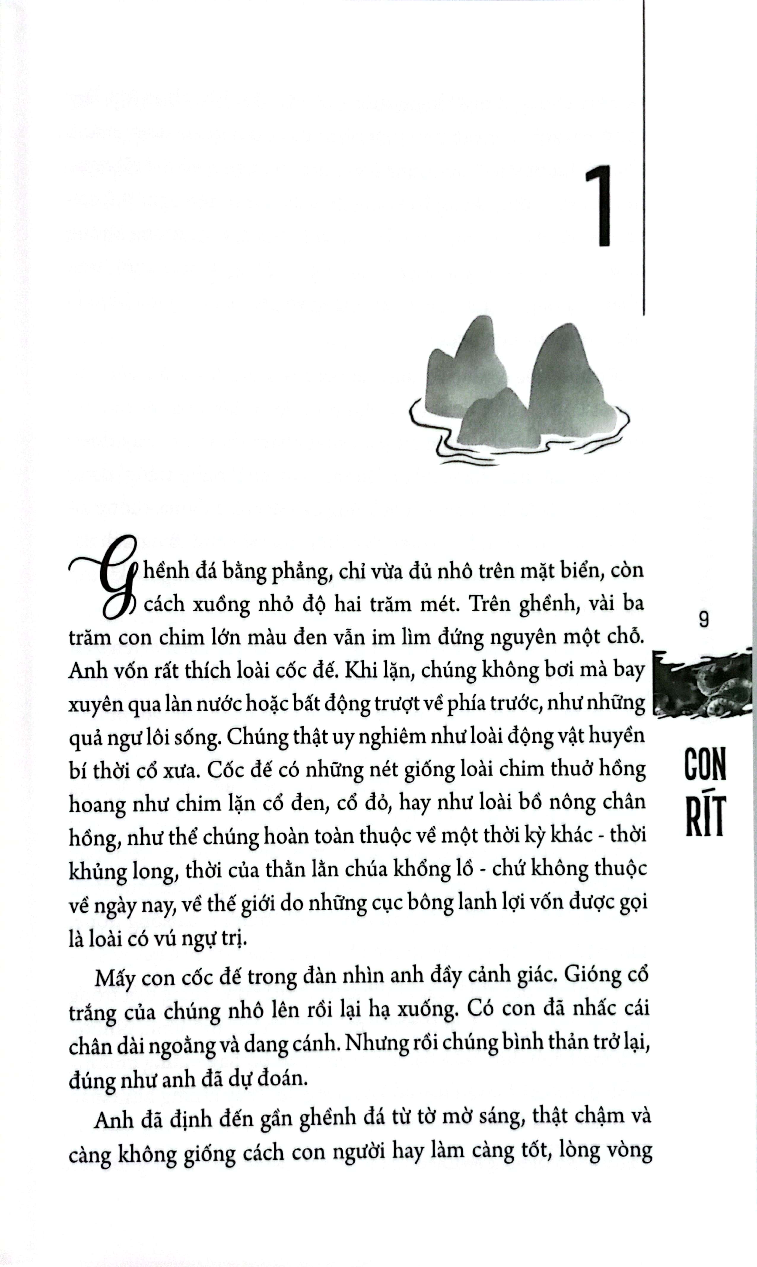 con rít - Ảnh 5