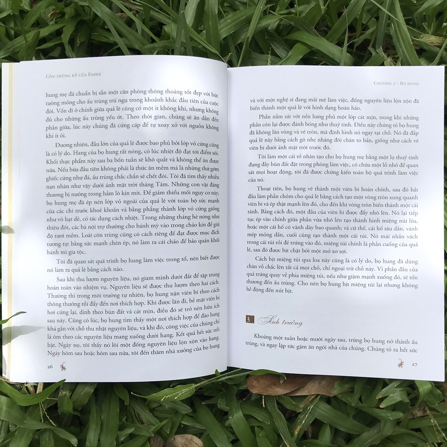 côn trùng ký của fabre - Ảnh 7