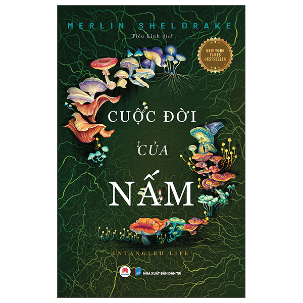 Cuoc Doi Cua Nam - Entangled Life
