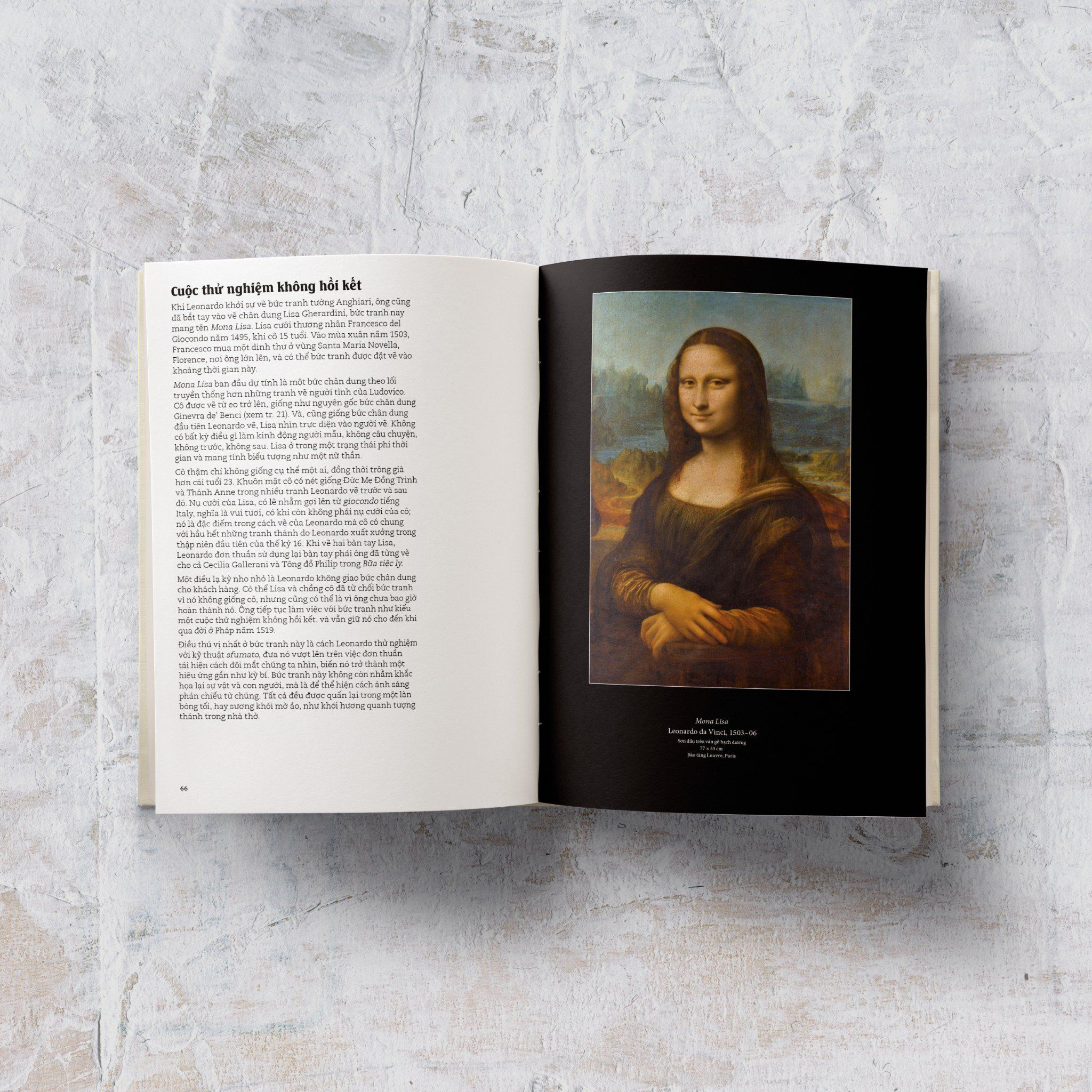 đây là leonardo da vinci - Ảnh 6