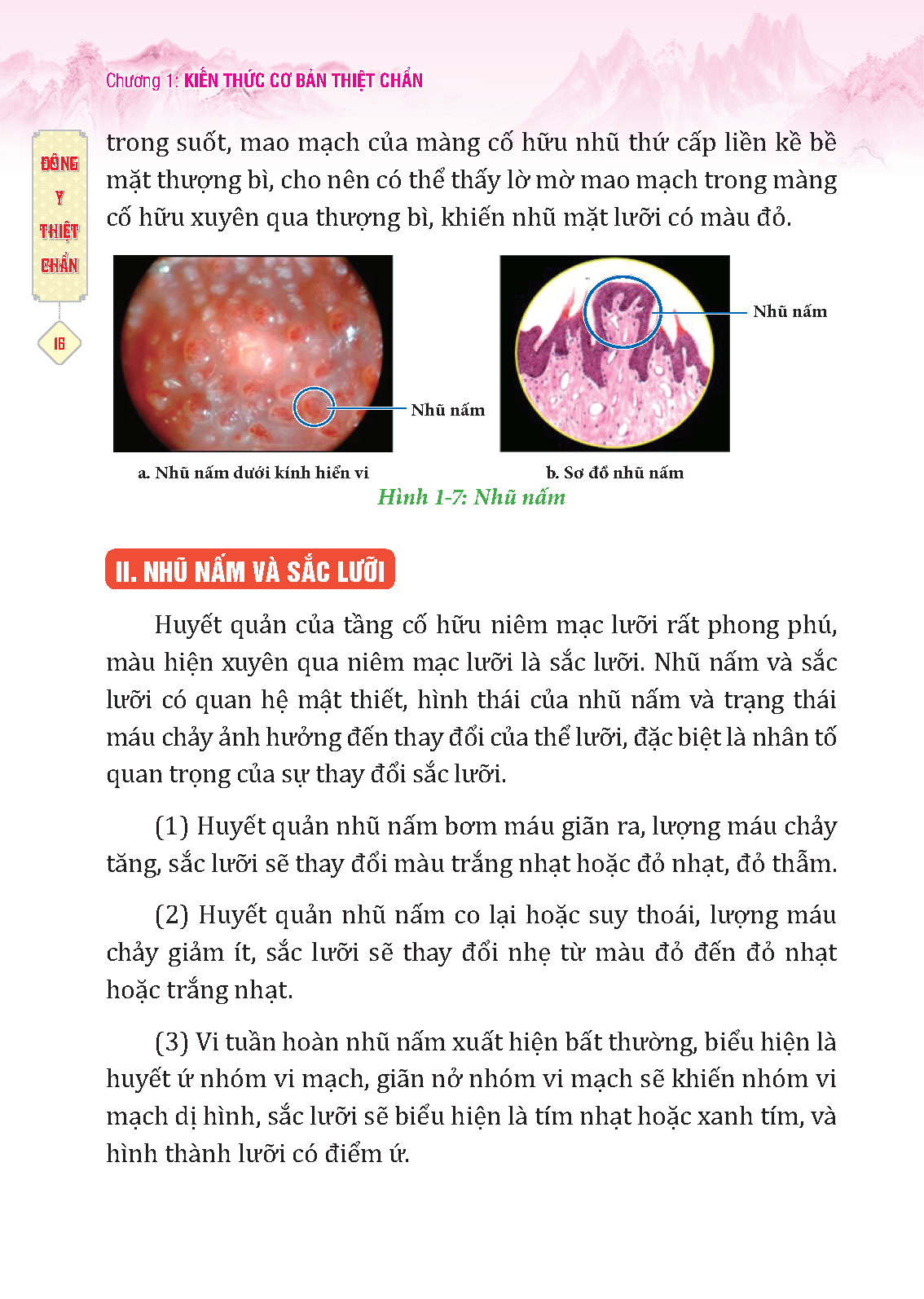 đông y thiệt chẩn (tái bản 2023) - Ảnh 6