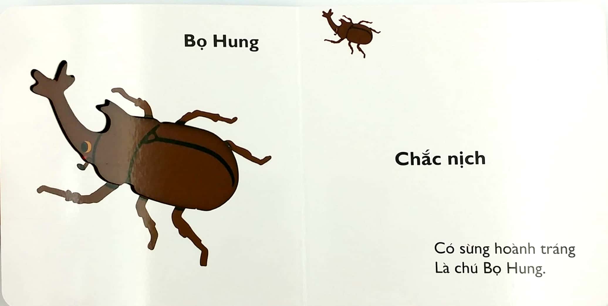Ehon Nhật Bản - Cùng Chơi Trốn Tìm 10 - Côn Trùng (Từ 0 - 6 Tuổi) - Ảnh 3