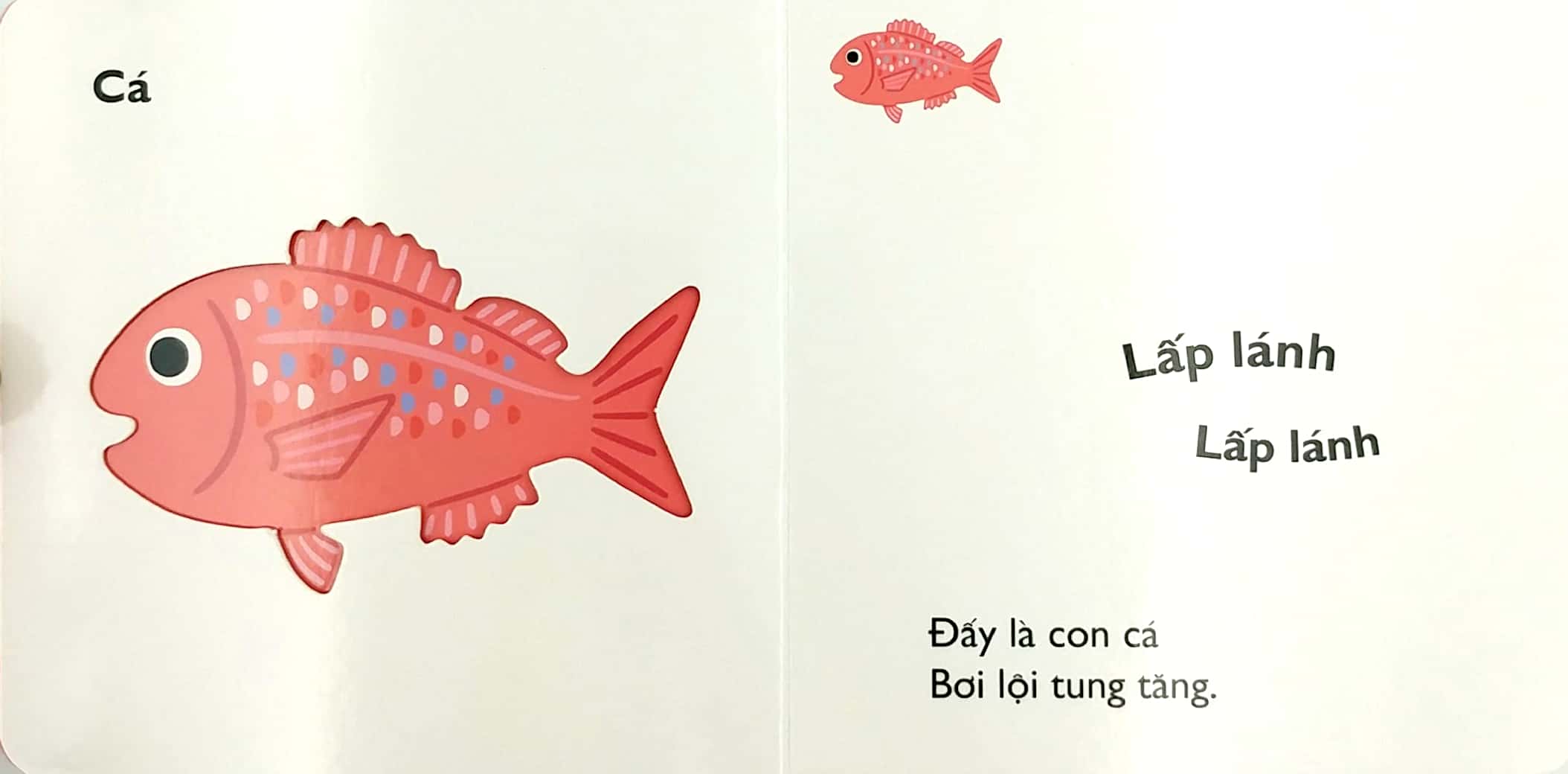 Ehon Nhật Bản - Cùng Chơi Trốn Tìm 8 - Sinh Vật Biển (Từ 0 - 6 Tuổi) - Ảnh 3