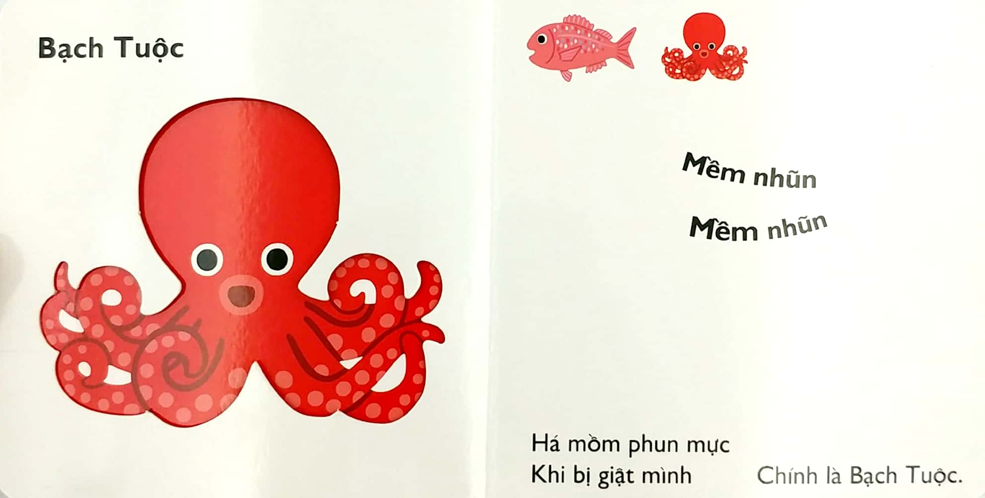 Ehon Nhật Bản - Cùng Chơi Trốn Tìm 8 - Sinh Vật Biển (Từ 0 - 6 Tuổi) - Ảnh 5