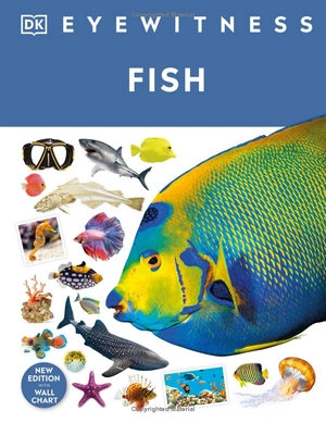 eyewitness - fish - Ảnh 2
