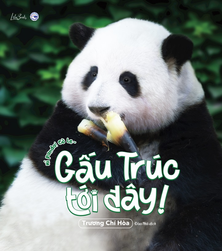 Gấu Trúc Tới Đây! - Hi Panda! Cò Le~ - Ảnh 3