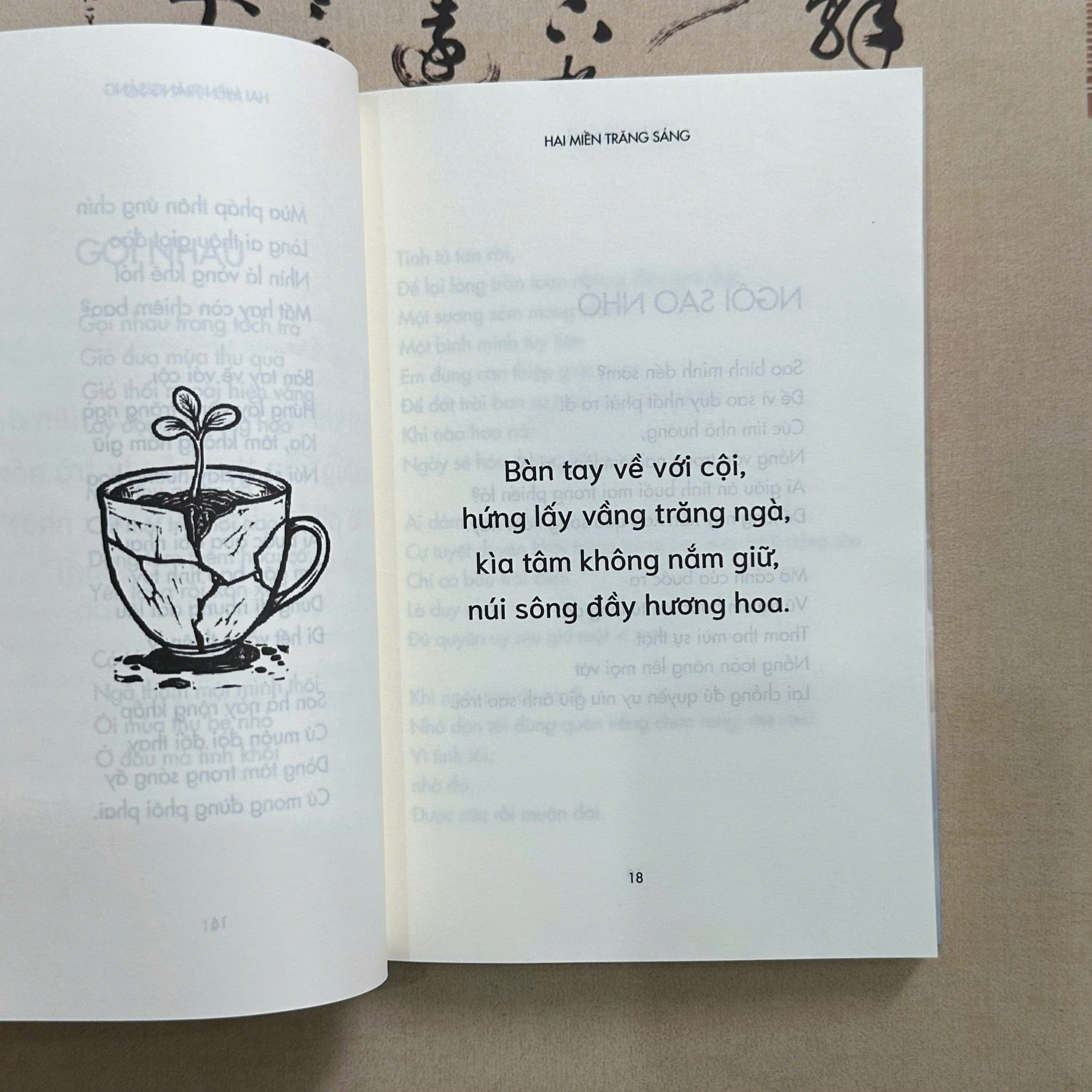 Hai Miền Trăng Sáng - Ảnh 3