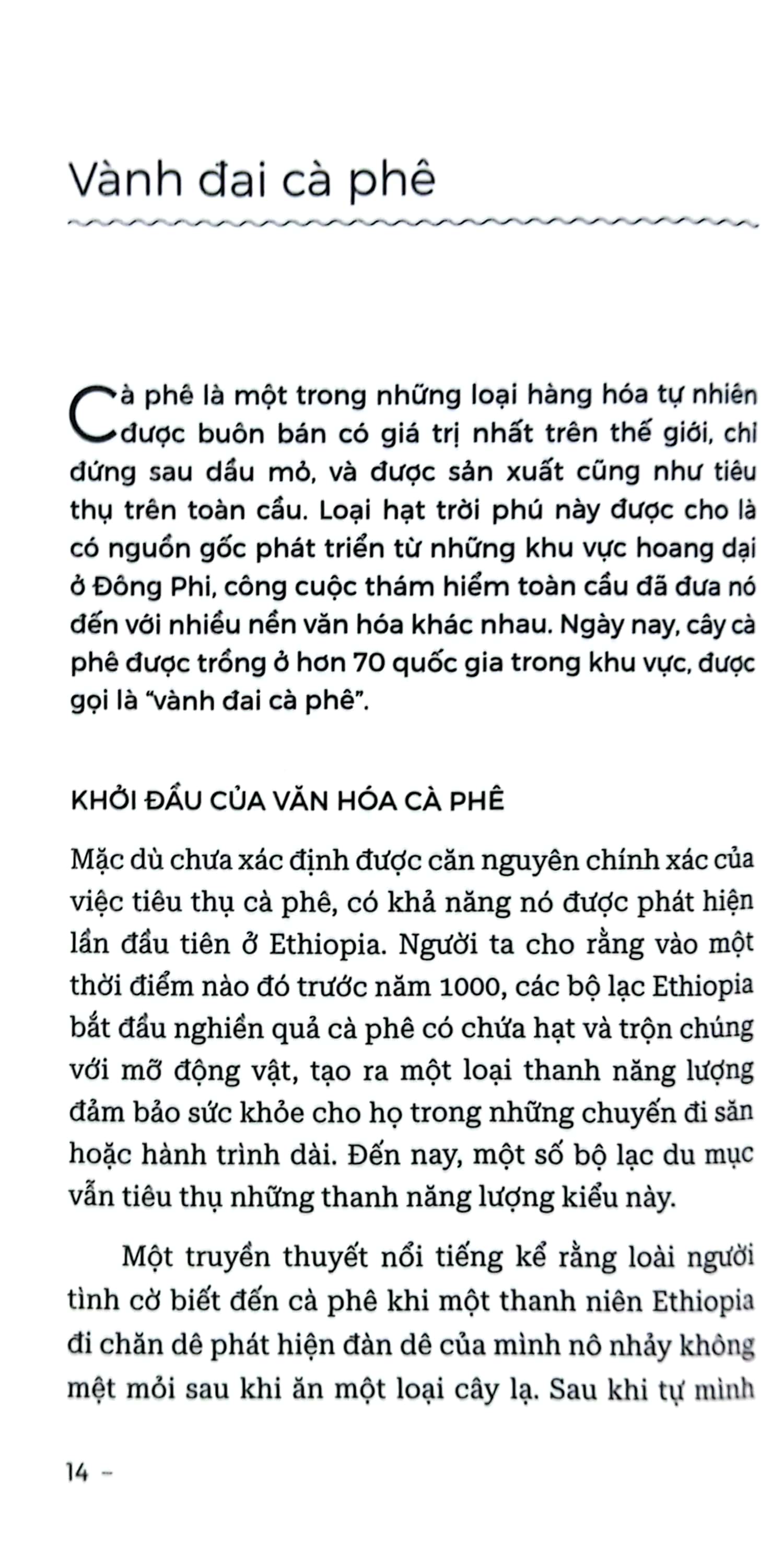 hiểu hết về cà phê - Ảnh 8