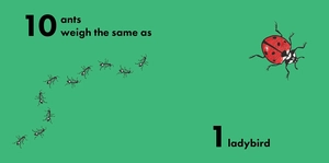 how much does a ladybird weigh? - Ảnh 3