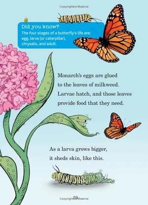 hug a bug: how you can help protect insects (dr. seuss's the lorax books) - Ảnh 10