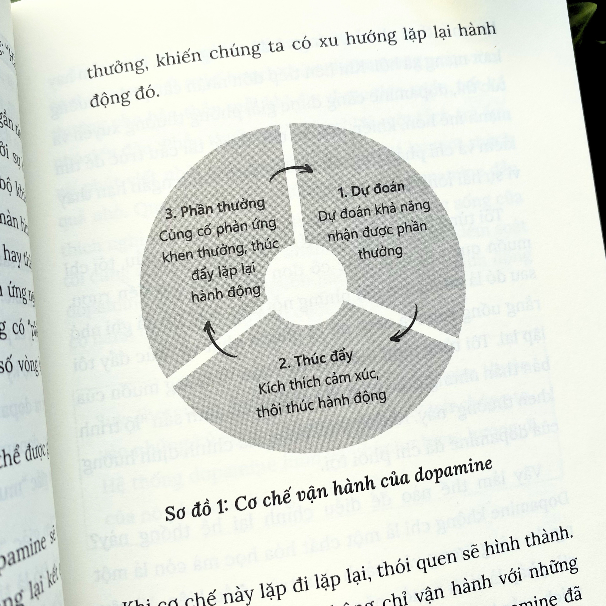 Kích Hoạt Dopamine - Ảnh 5