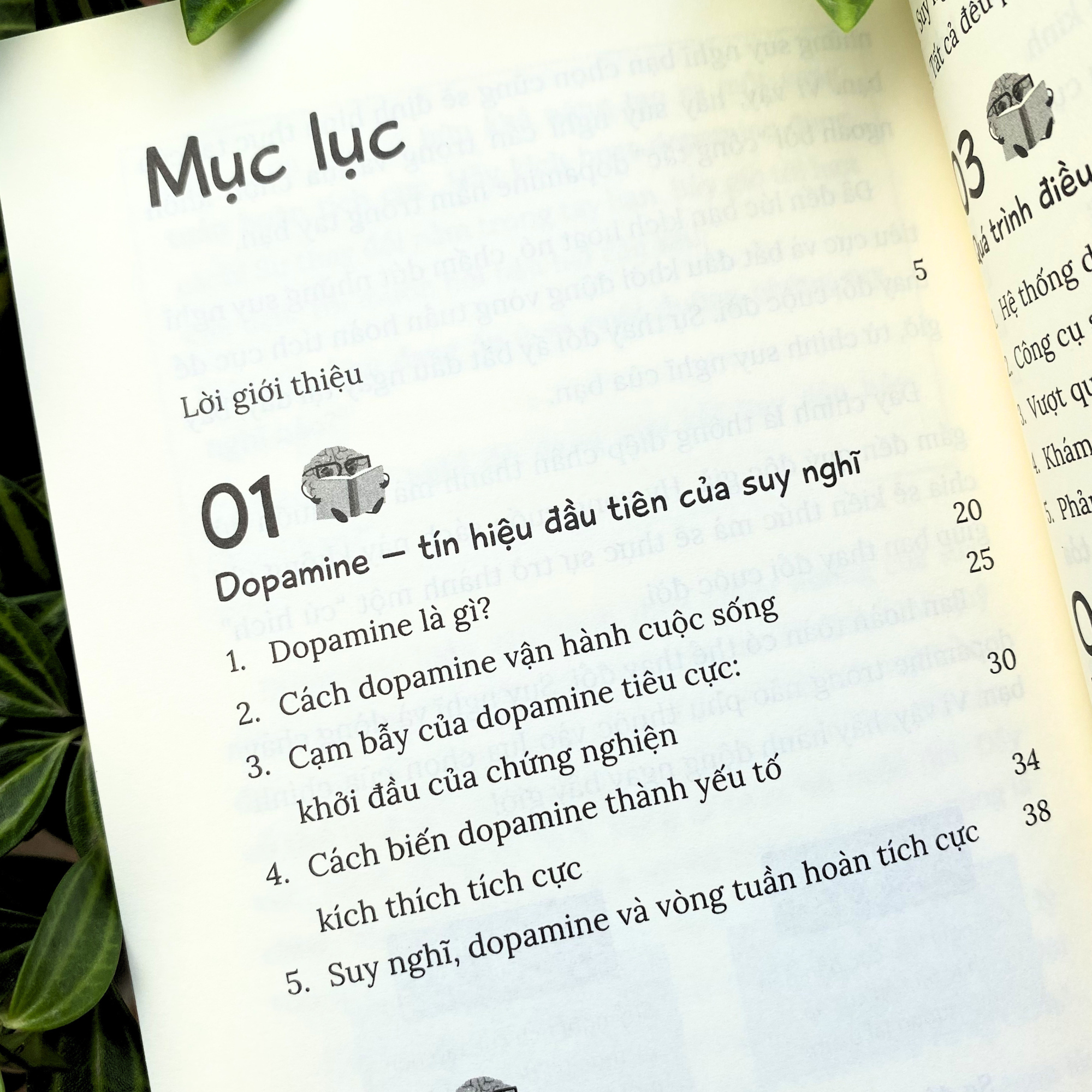 Kích Hoạt Dopamine - Ảnh 6