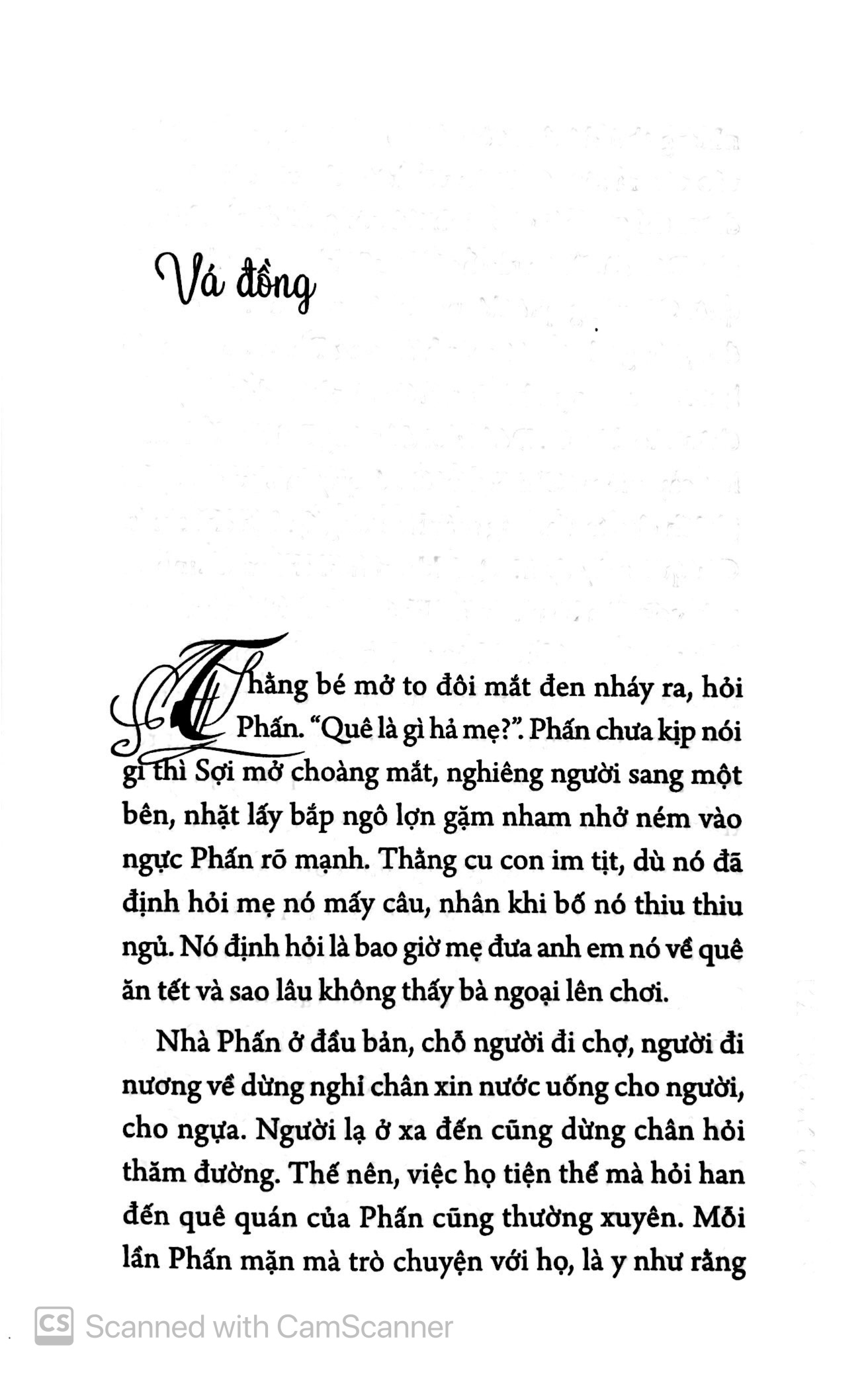 kiều mạch trắng - Ảnh 4