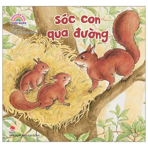 kính vạn hoa thiên nhiên - sóc con qua đường