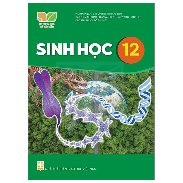 Lịch Sử 12 (Kết Nối) (Chuẩn)' - Ảnh 29