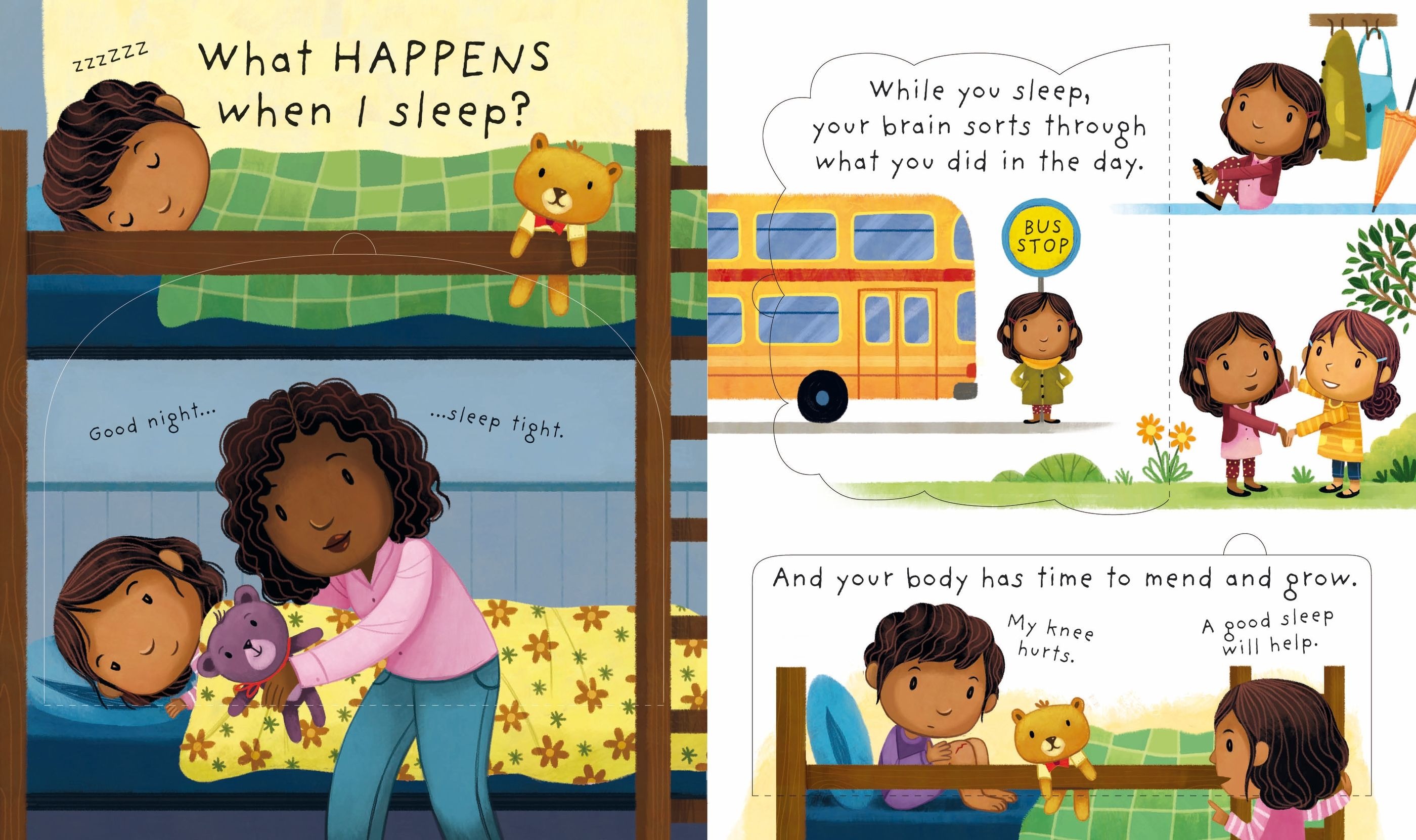 lift-the-flap very first questions and answers: what is sleep? - Ảnh 4