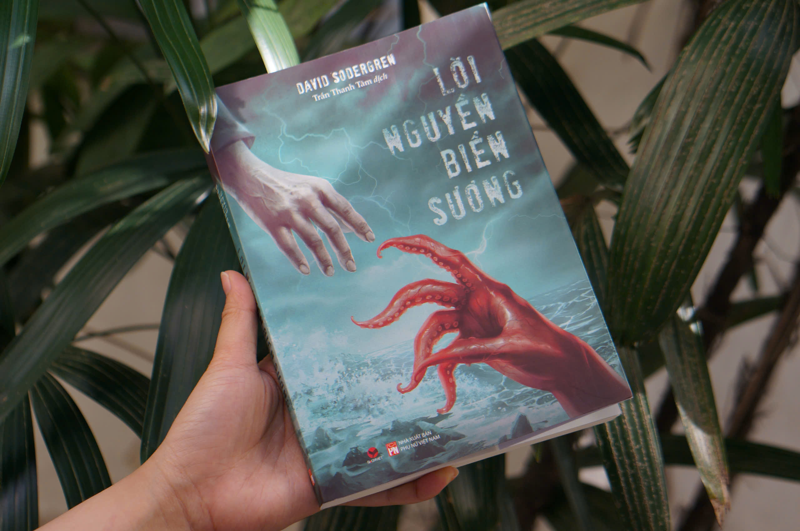 Lời Nguyền Biển Sương - Ảnh 8