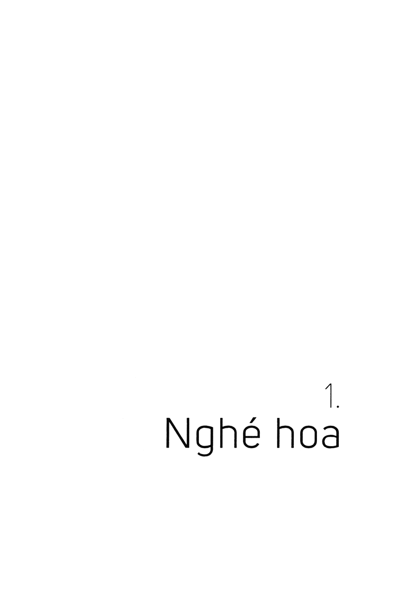 màu rừng ruộng - Ảnh 3