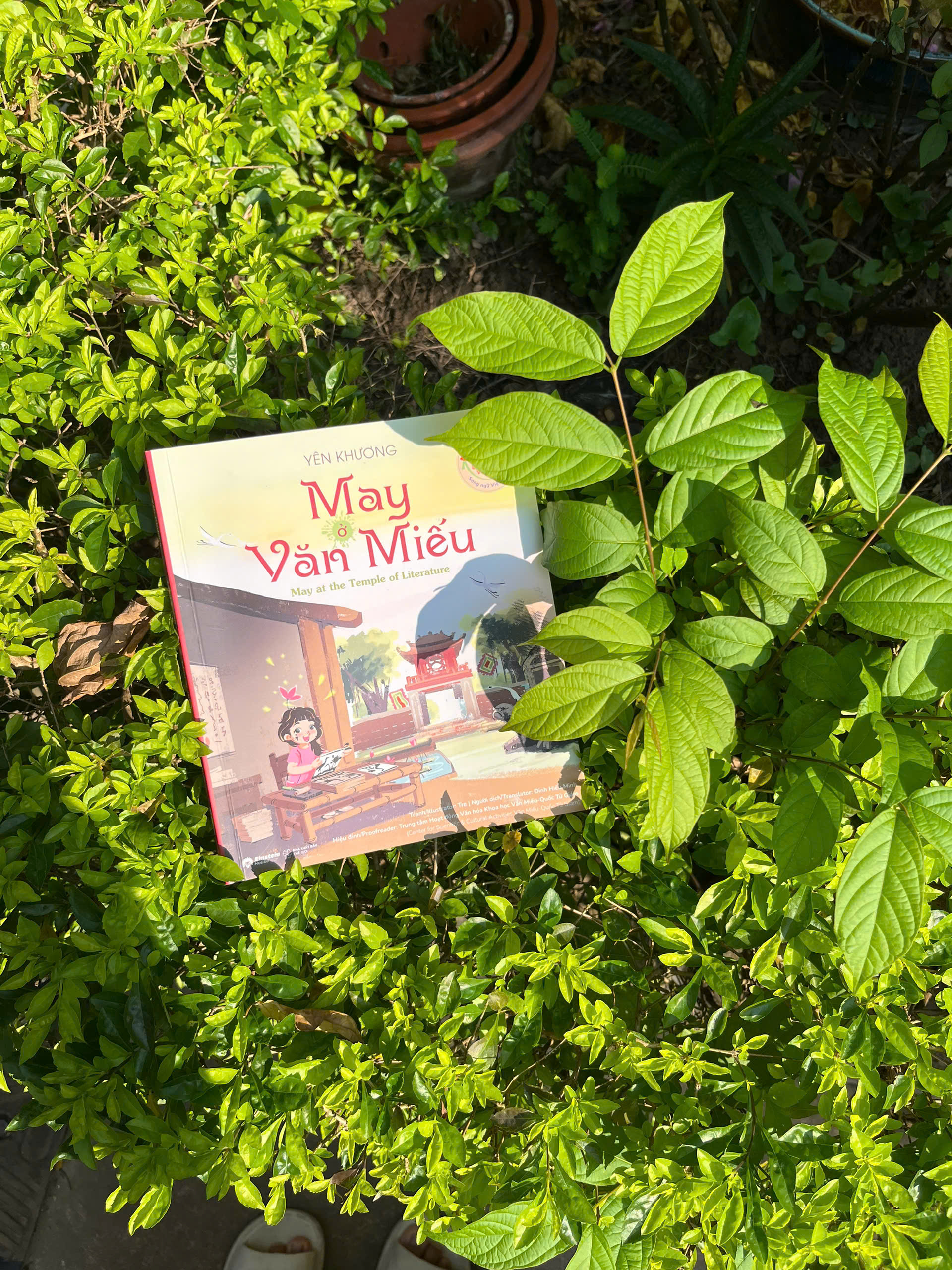 May Ở Văn Miếu - Ảnh 6
