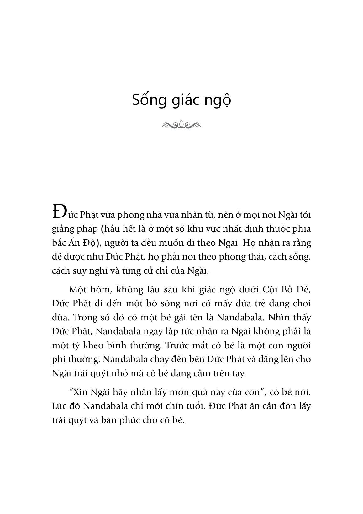 Mind Full To Mindful - Thiền Giữa Đời Thường - Ảnh 13