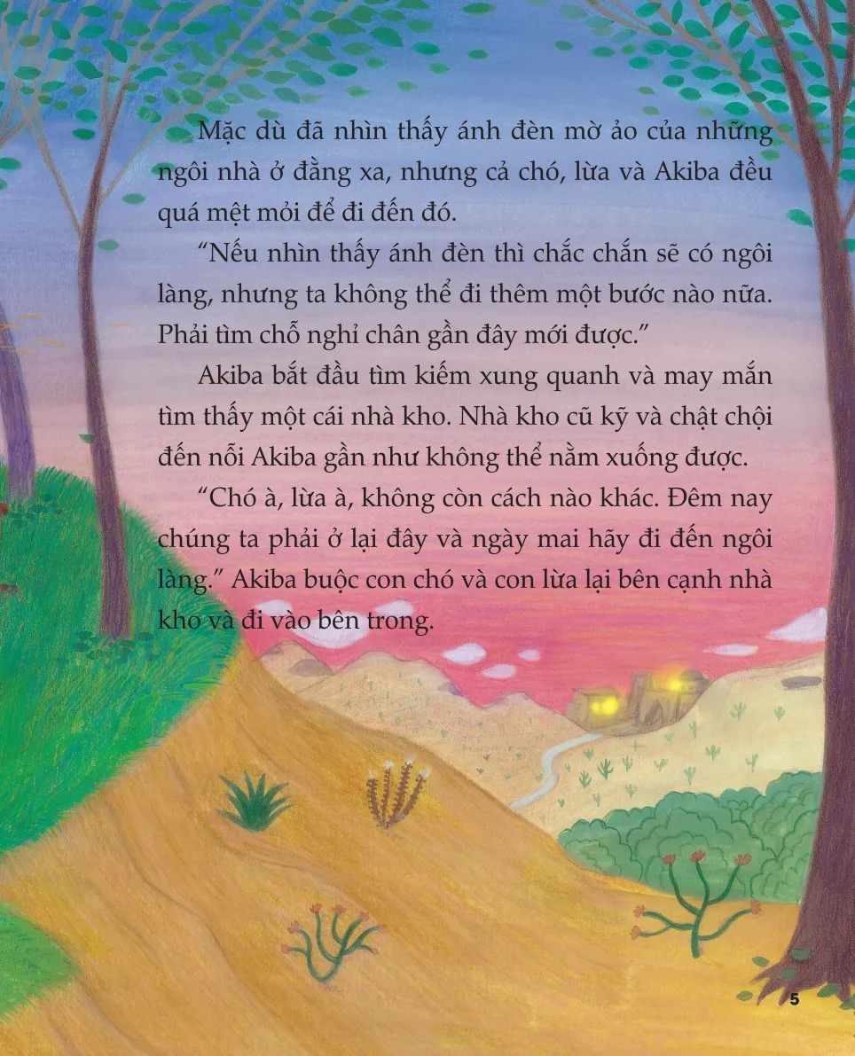 Nhật Ký Nuôi Dạy Tâm Hồn Từ Kinh Cổ Do Thái - Cuộc Phiêu Lưu Của Thầy Đạo Akiba - Hy Vọng (Tái Bản 2026) - Ảnh 6
