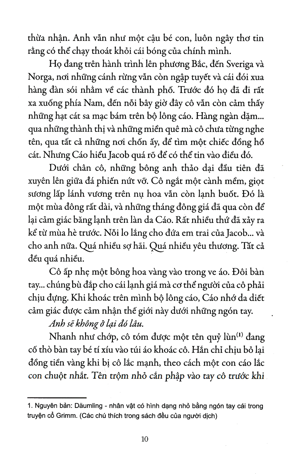 những cái bóng sống - Ảnh 4