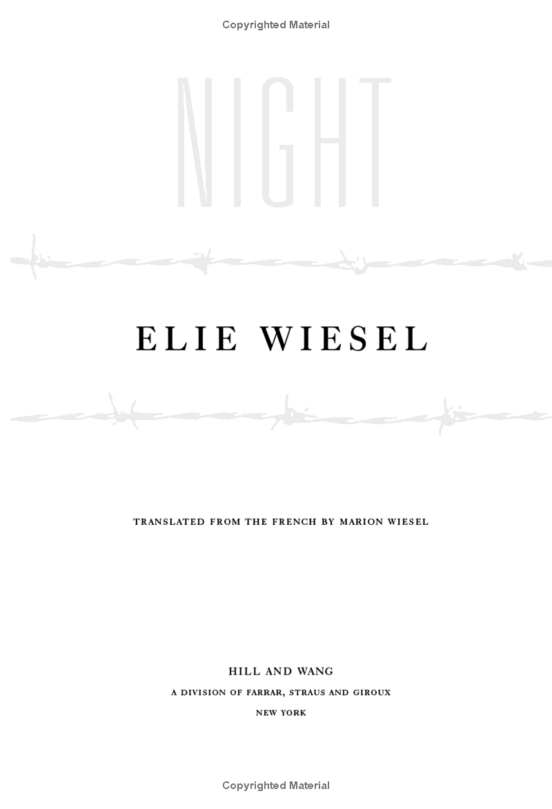 night - Ảnh 3