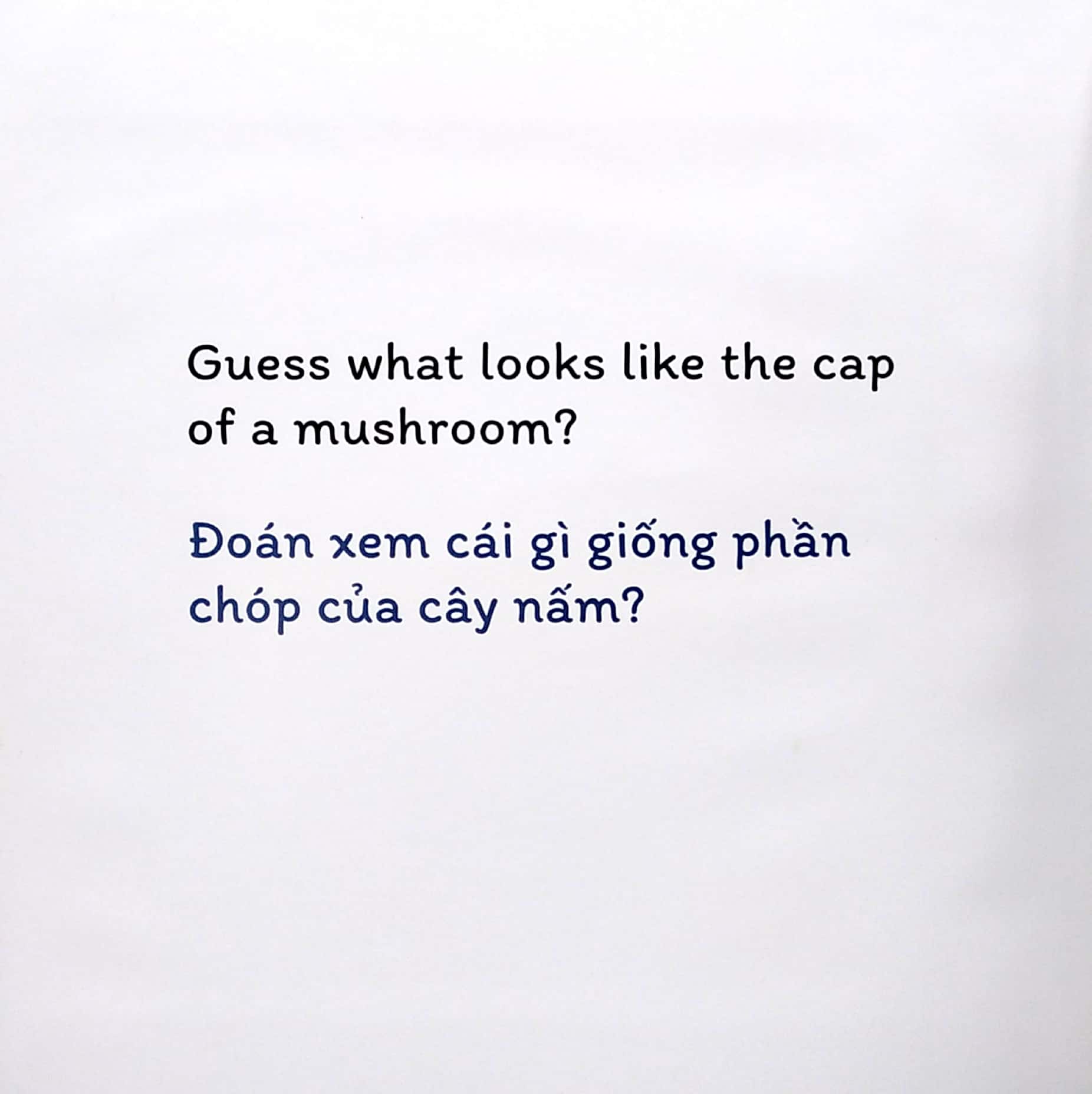 sách đố vui lật giở song ngữ - đoán xem là gì? - Ảnh 5
