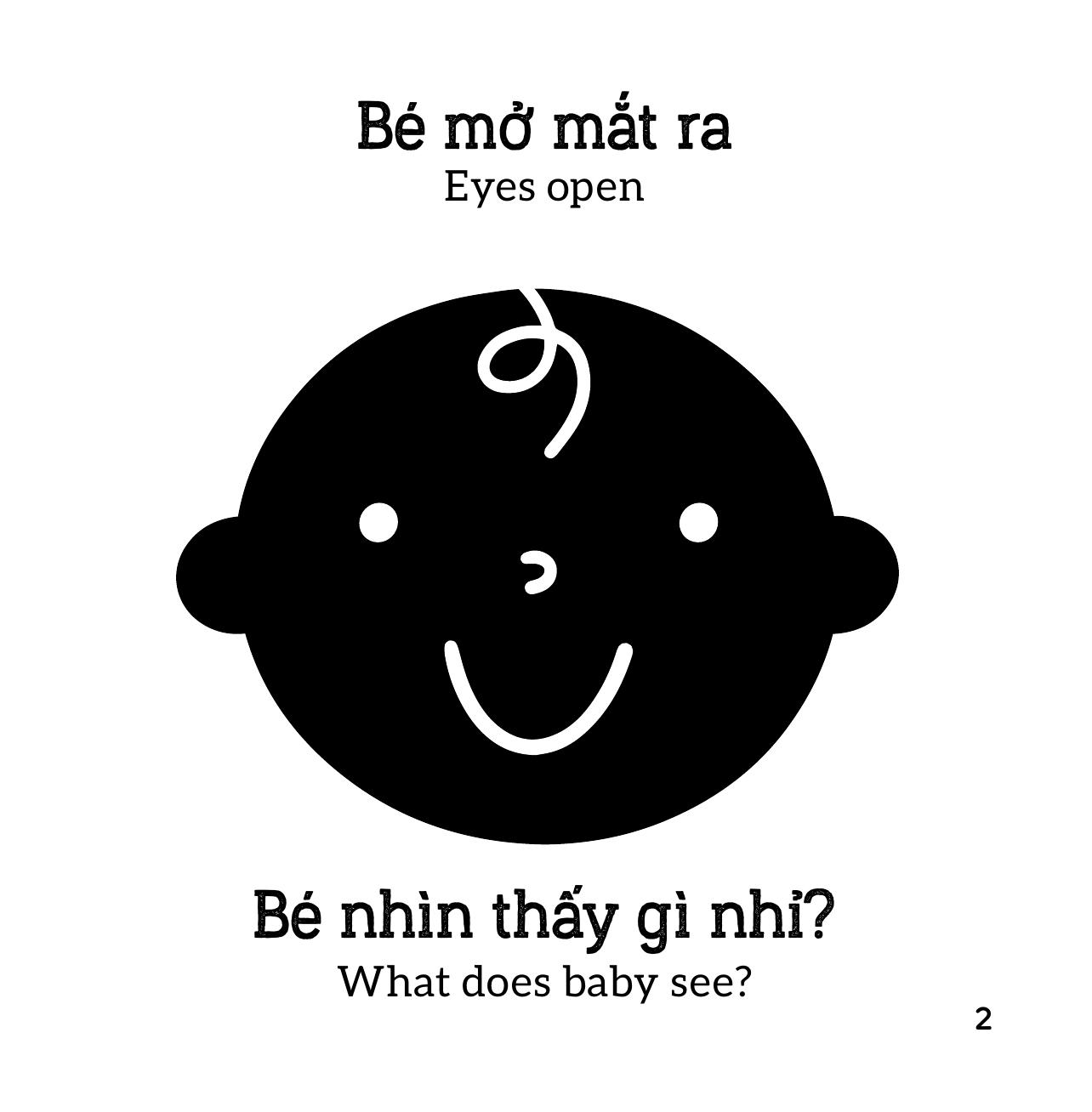 Sách Kích Thích Thị Giác - Em Bé Thấy Gì? - Những Thứ Thân Quen - Ảnh 5